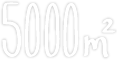 5000 m2